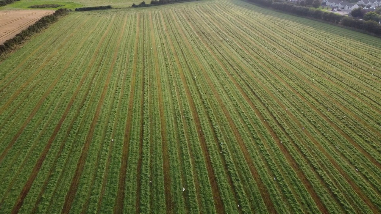 Getting Started Tutorial